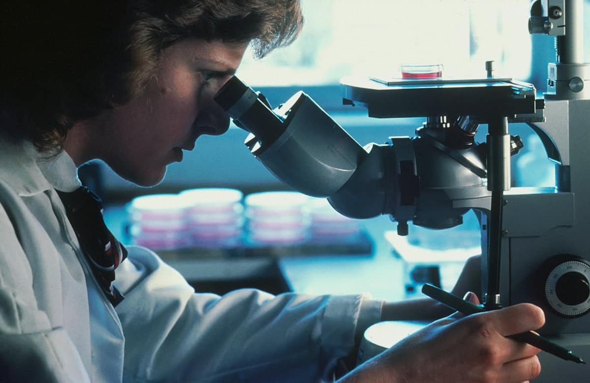 Équipe scientifique en discussion, laboratoire